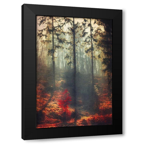 Weight of Light Black Modern Wood Framed Art Print by Wuestenhagen, Dirk