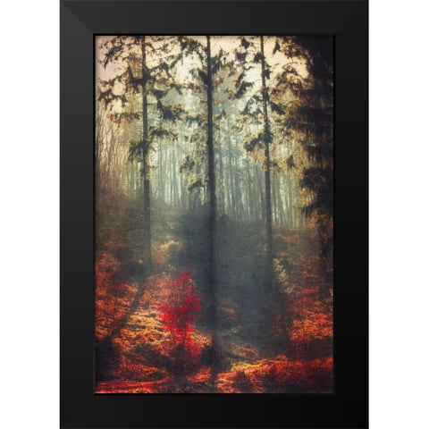 Weight of Light Black Modern Wood Framed Art Print by Wuestenhagen, Dirk