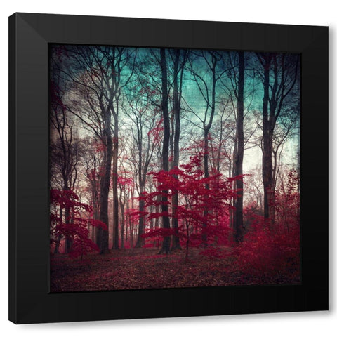 A Maze Black Modern Wood Framed Art Print by Wuestenhagen, Dirk