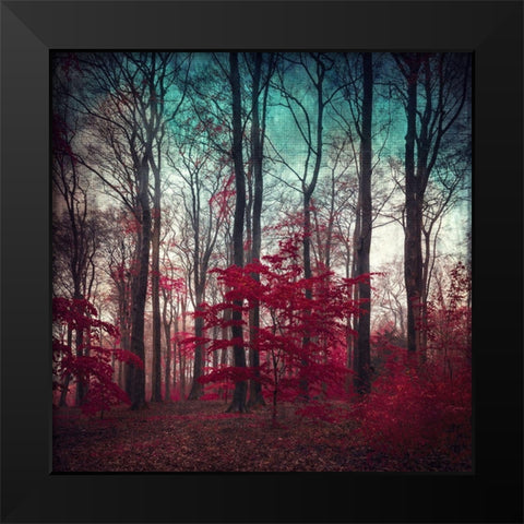 A Maze Black Modern Wood Framed Art Print by Wuestenhagen, Dirk