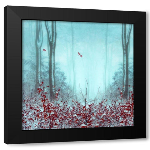Everything and More Black Modern Wood Framed Art Print by Wuestenhagen, Dirk