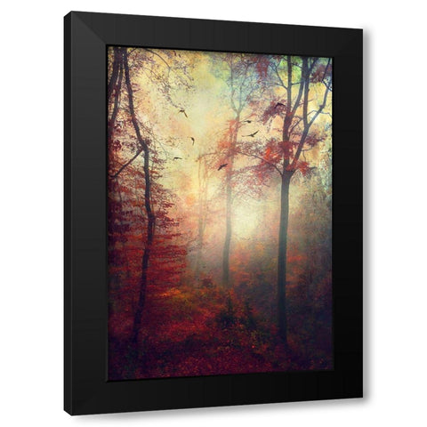 Haze Black Modern Wood Framed Art Print by Wuestenhagen, Dirk