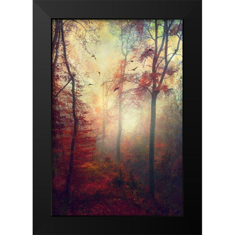 Haze Black Modern Wood Framed Art Print by Wuestenhagen, Dirk