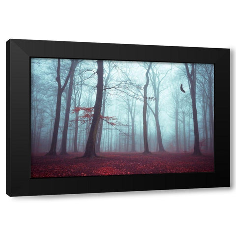 Solstice in Fog Black Modern Wood Framed Art Print with Double Matting by Wuestenhagen, Dirk