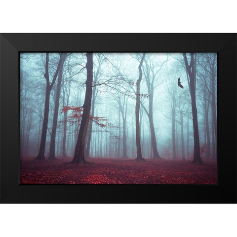Solstice in Fog Black Modern Wood Framed Art Print by Wuestenhagen, Dirk