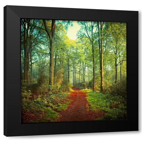 Sunday Morning Walk Black Modern Wood Framed Art Print with Double Matting by Wuestenhagen, Dirk