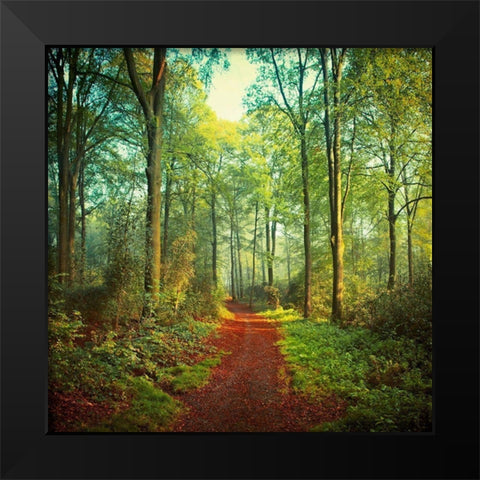Sunday Morning Walk Black Modern Wood Framed Art Print by Wuestenhagen, Dirk