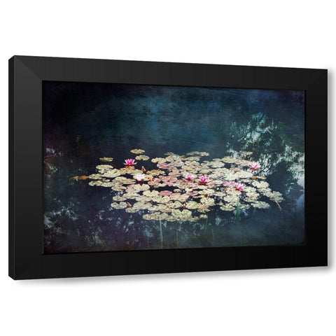 Waterlilies Black Modern Wood Framed Art Print by Wuestenhagen, Dirk