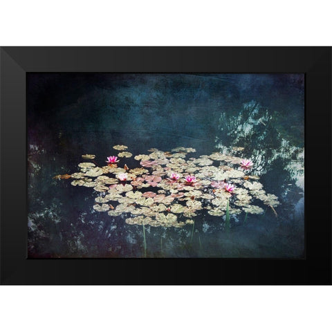 Waterlilies Black Modern Wood Framed Art Print by Wuestenhagen, Dirk