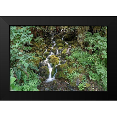 Fern Waterfall Black Modern Wood Framed Art Print by White, Lynda