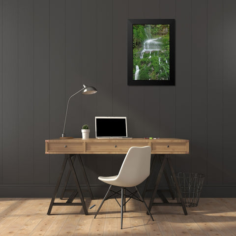 Moss Waterfall Black Modern Wood Framed Art Print by White, Lynda