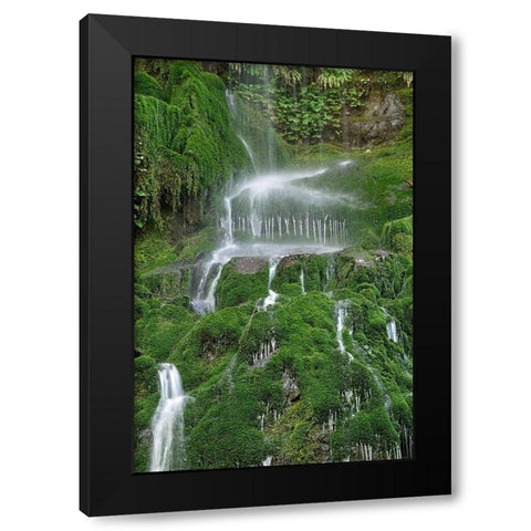 Moss Waterfall Black Modern Wood Framed Art Print by White, Lynda