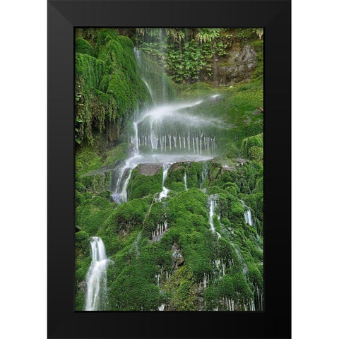 Moss Waterfall Black Modern Wood Framed Art Print by White, Lynda