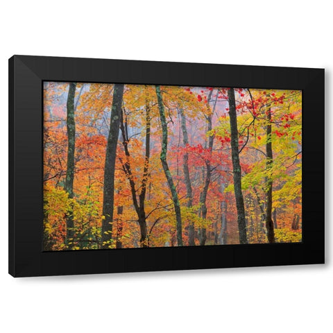 Crayola Black Modern Wood Framed Art Print by Zephyr, Patrick