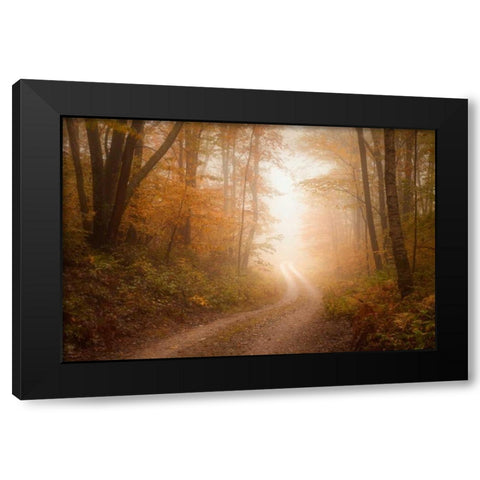 Familiar Dream Black Modern Wood Framed Art Print by Zephyr, Patrick