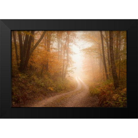 Familiar Dream Black Modern Wood Framed Art Print by Zephyr, Patrick