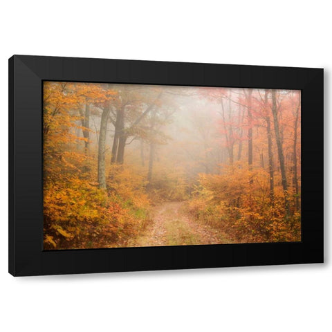 Passing Through Black Modern Wood Framed Art Print by Zephyr, Patrick