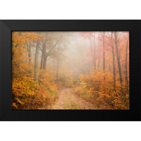 Passing Through Black Modern Wood Framed Art Print by Zephyr, Patrick