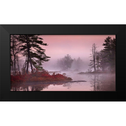 Pink Fog Black Modern Wood Framed Art Print by Zephyr, Patrick