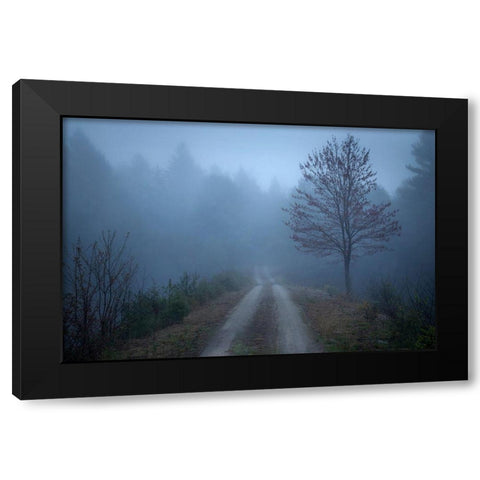 Spring Fog Black Modern Wood Framed Art Print with Double Matting by Zephyr, Patrick