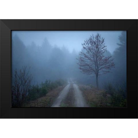 Spring Fog Black Modern Wood Framed Art Print by Zephyr, Patrick