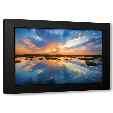 Plum Island Black Modern Wood Framed Art Print by Zephyr, Patrick