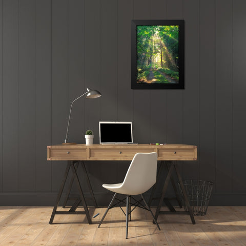 Forest Sunshine Black Modern Wood Framed Art Print by Zephyr, Patrick