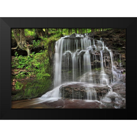 Gunn Brooks Falls Black Modern Wood Framed Art Print by Zephyr, Patrick
