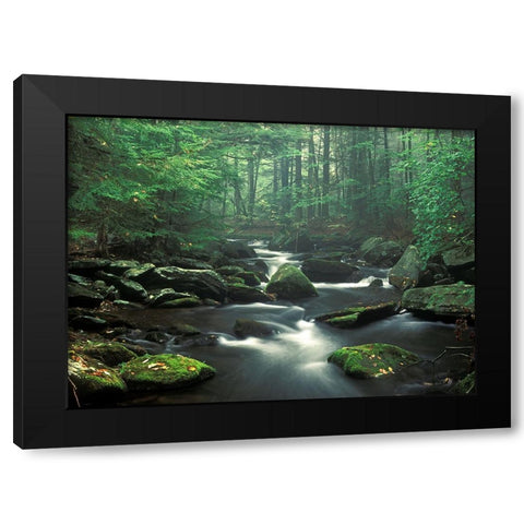 Sawmill River Black Modern Wood Framed Art Print by Zephyr, Patrick