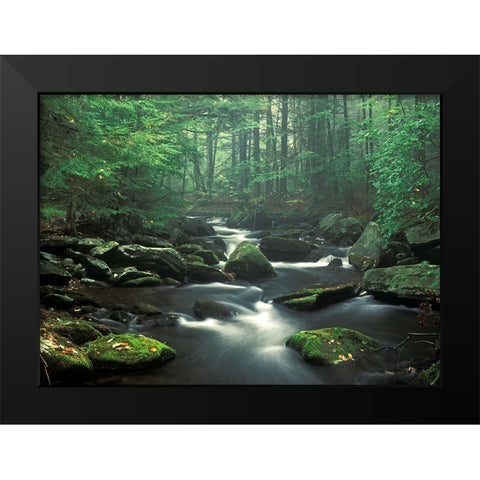 Sawmill River Black Modern Wood Framed Art Print by Zephyr, Patrick