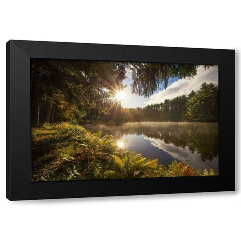 Sunstars Black Modern Wood Framed Art Print with Double Matting by Zephyr, Patrick