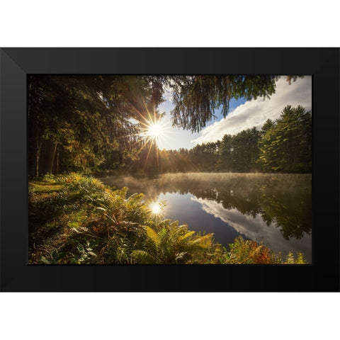 Sunstars Black Modern Wood Framed Art Print by Zephyr, Patrick