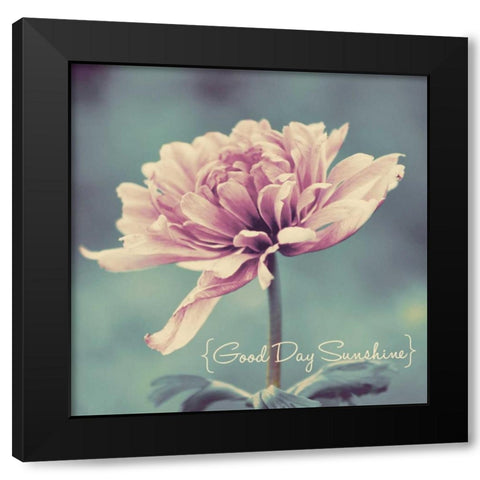 Good Day Sunshine Border Black Modern Wood Framed Art Print with Double Matting by Peck, Gail