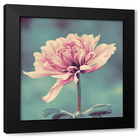 Gorgeous Pink Black Modern Wood Framed Art Print by Peck, Gail