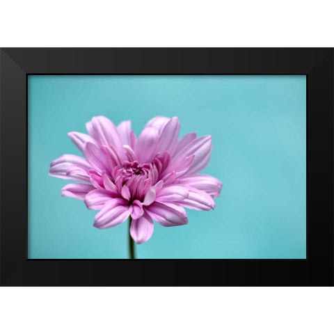 Surrounded in Blue Black Modern Wood Framed Art Print by Peck, Gail