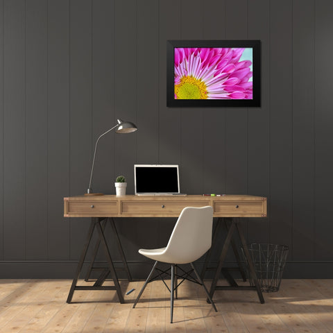 Fuschia Bloom Black Modern Wood Framed Art Print by Peck, Gail