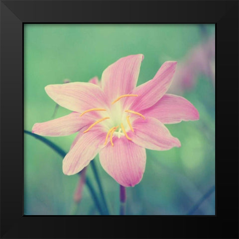 Alone in the Field Black Modern Wood Framed Art Print by Peck, Gail