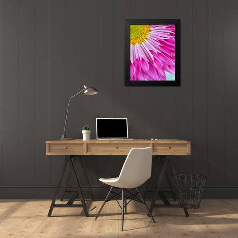 Fuschia Bloom Black Modern Wood Framed Art Print by Peck, Gail