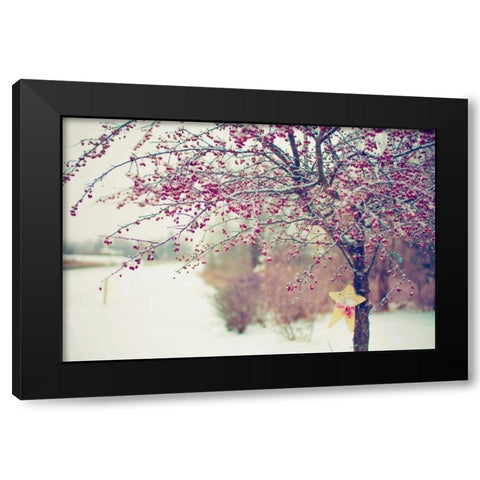 Winter Berries I Black Modern Wood Framed Art Print by Poynter, Kelly