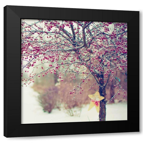 Winter Berries II Black Modern Wood Framed Art Print by Poynter, Kelly