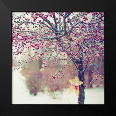 Winter Berries II Black Modern Wood Framed Art Print by Poynter, Kelly