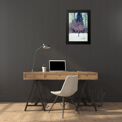 Winter Berries III Black Modern Wood Framed Art Print by Poynter, Kelly