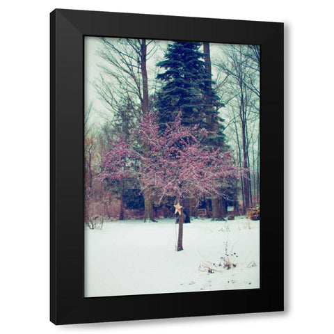 Winter Berries III Black Modern Wood Framed Art Print with Double Matting by Poynter, Kelly