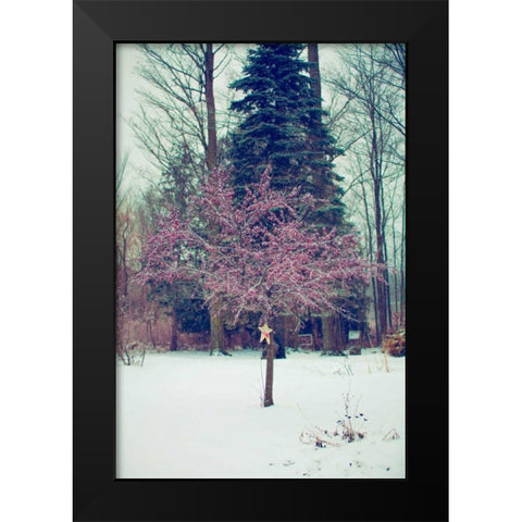 Winter Berries III Black Modern Wood Framed Art Print by Poynter, Kelly