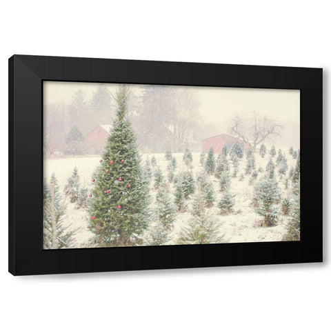 Holiday Cabin Black Modern Wood Framed Art Print with Double Matting by Poynter, Kelly