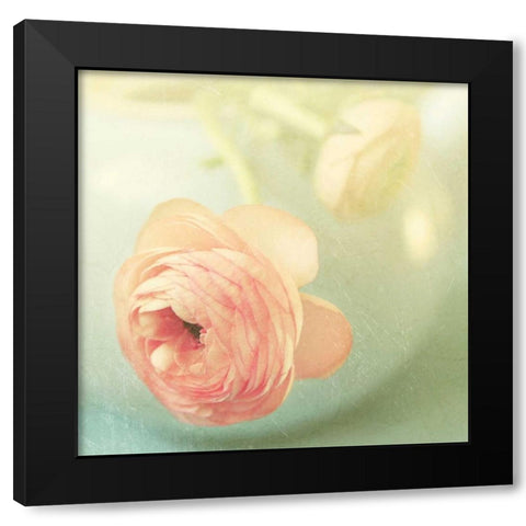 Vintage Peony II Black Modern Wood Framed Art Print by Gardner, Sarah
