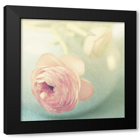 Vintage Pink Peony II Black Modern Wood Framed Art Print by Gardner, Sarah