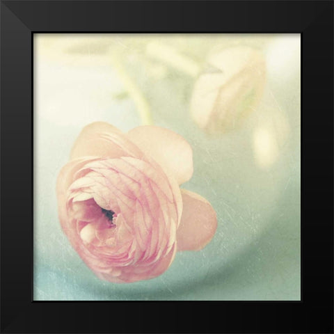 Vintage Pink Peony II Black Modern Wood Framed Art Print by Gardner, Sarah