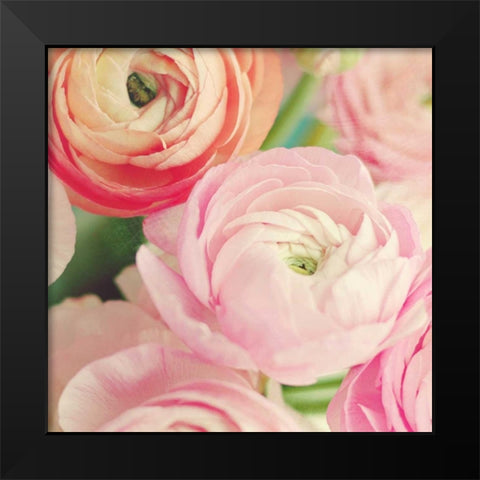 Blushing Blossoms Square II Black Modern Wood Framed Art Print by Gardner, Sarah