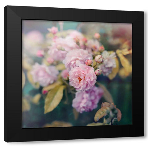 Season of Blossoms Black Modern Wood Framed Art Print with Double Matting by Gardner, Sarah